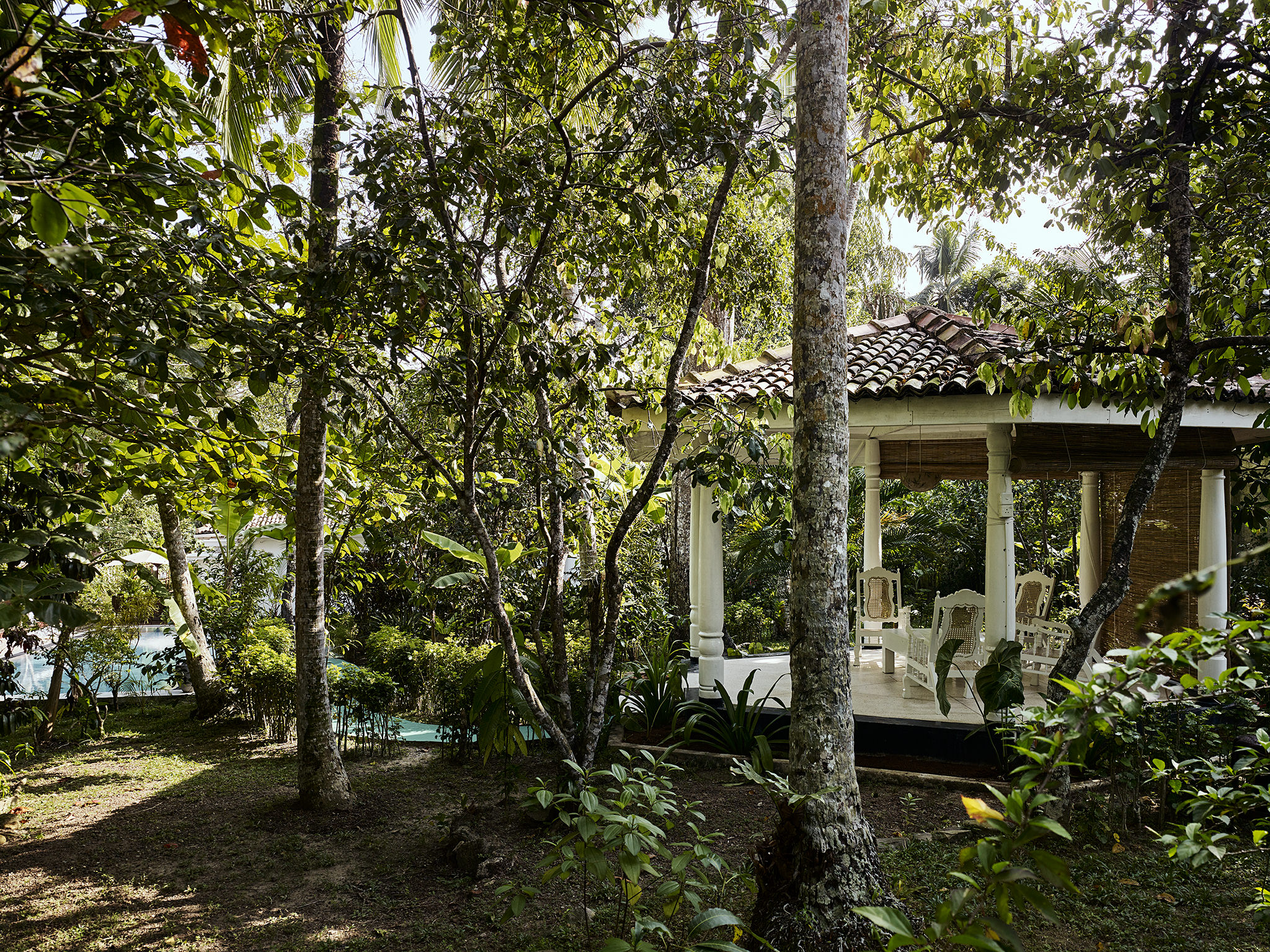 E16583 Alpa 055468 SCREEN